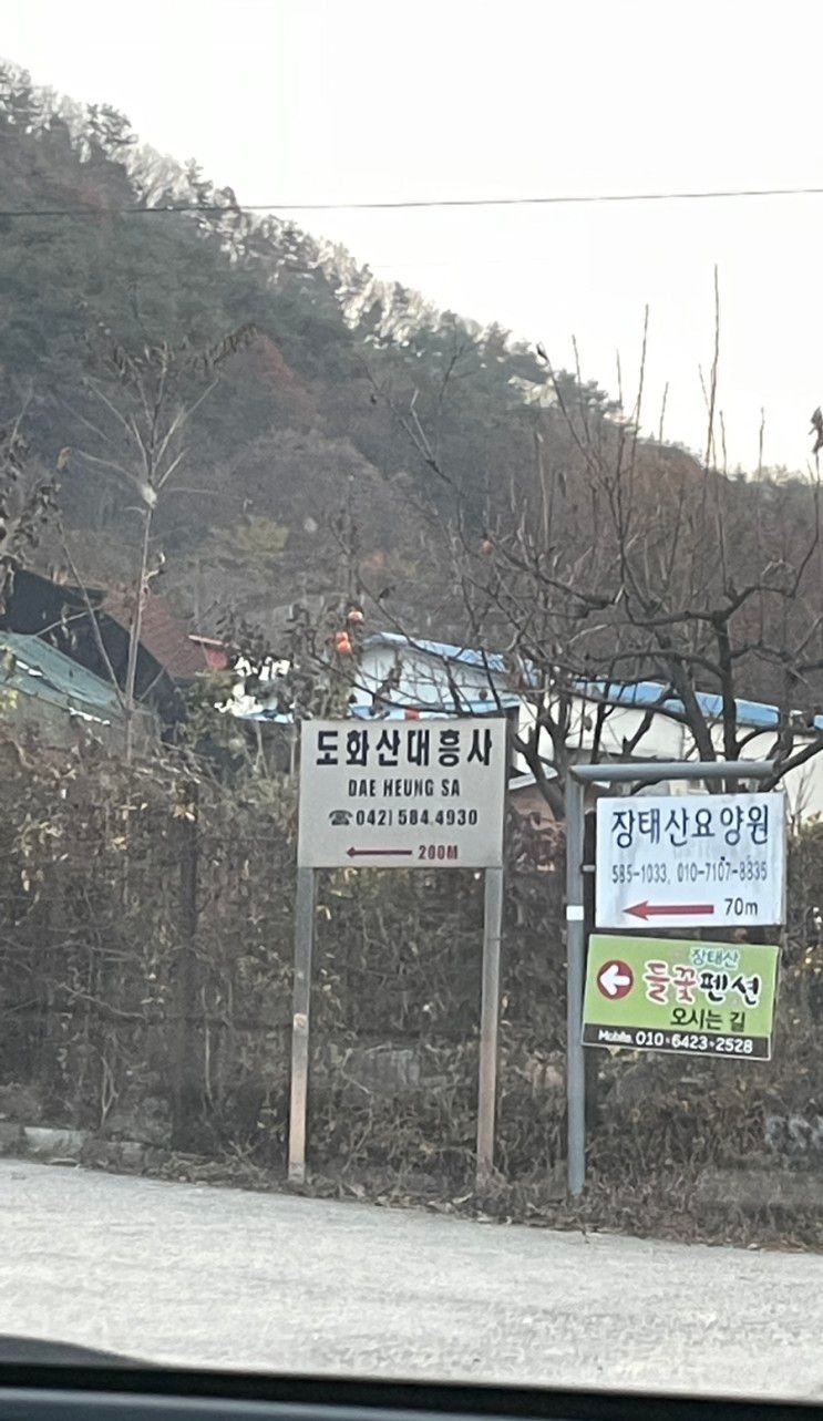 대전 장태산 들꽃팬션 후기(추천)