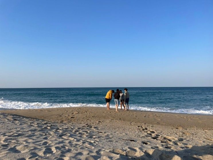 봉화카페 ‘대정연가’ / 울진 펜션 ‘세상의 모든 아침 펜션’