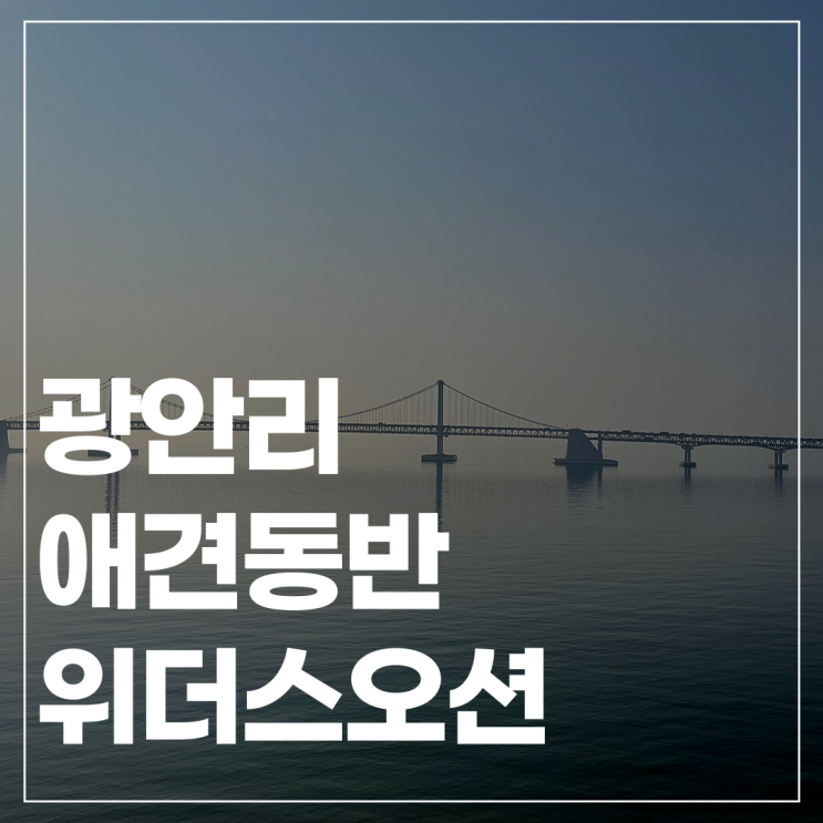 광안리 애견동반 오션뷰 숙소 위더스오션