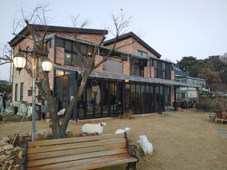 강화도 숙소 맛집 499펜션 갯배생선구이