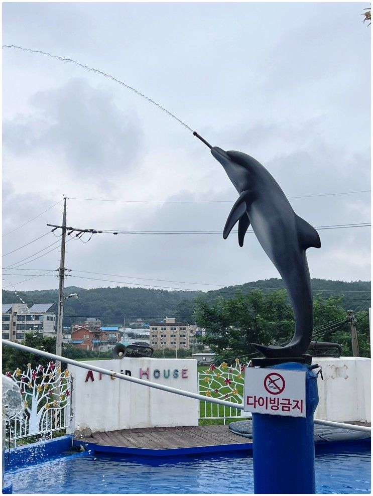 영흥도 펜션 아트인하우스 가성비 좋은 영흥도 수영장펜션