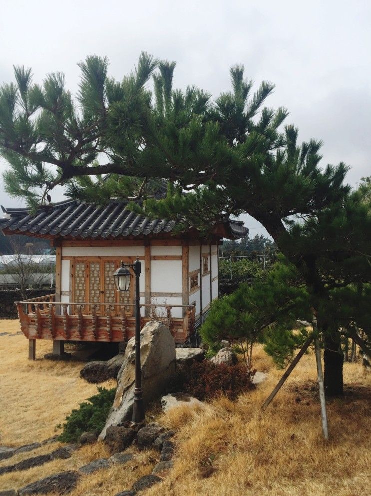 제주도한옥펜션추천 남극노인성! 서귀포한옥펜션중에 갑이에요!