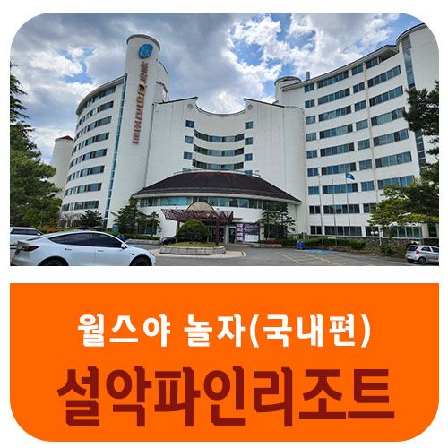 설악파인리조트 설악스탠다드룸 26평형 아이와 속초여행...