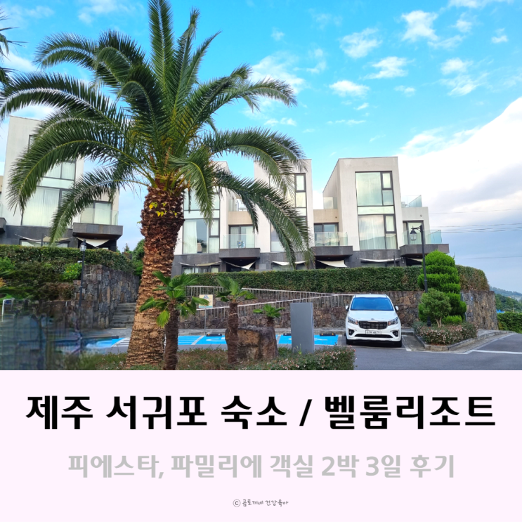 제주 서귀포 숙소 벨룸리조트 2박 3일 후기