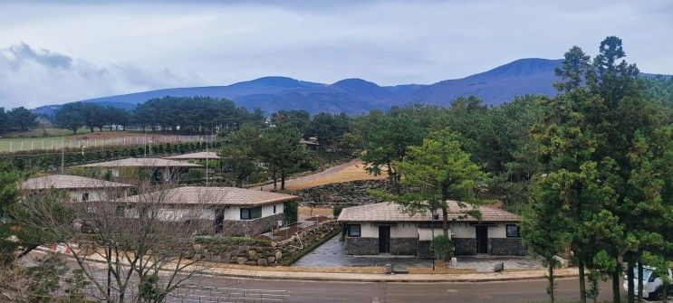 ‘초가집에서 5성급 호캉스를’ 제주의 자연을 담은 신상 리조트