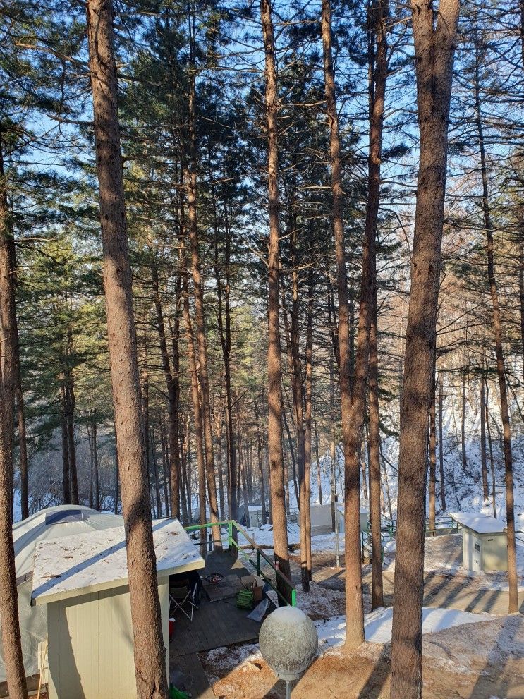 [2022.12.24-26]춘천숲자연휴양림 캠핑장, 동계캠핑, 먹부림...