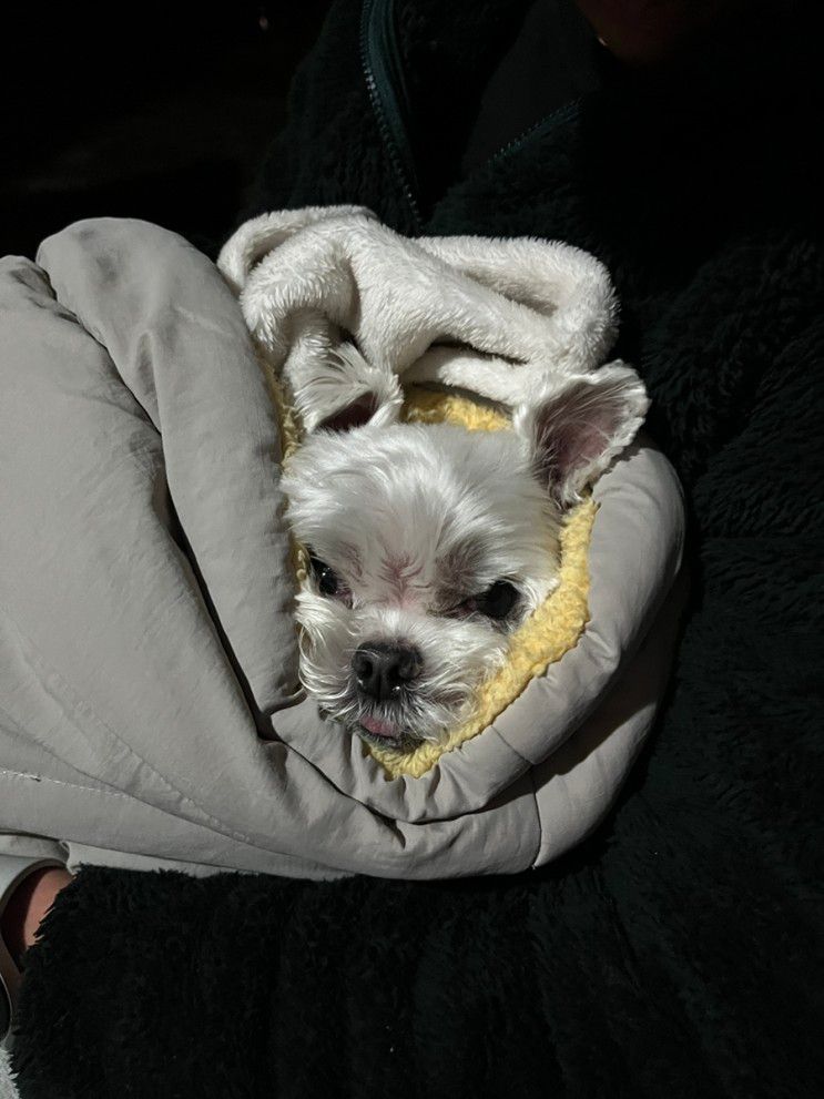 16th 춘천숲자연휴양림 세미캠핑장(춘천캠핑장...