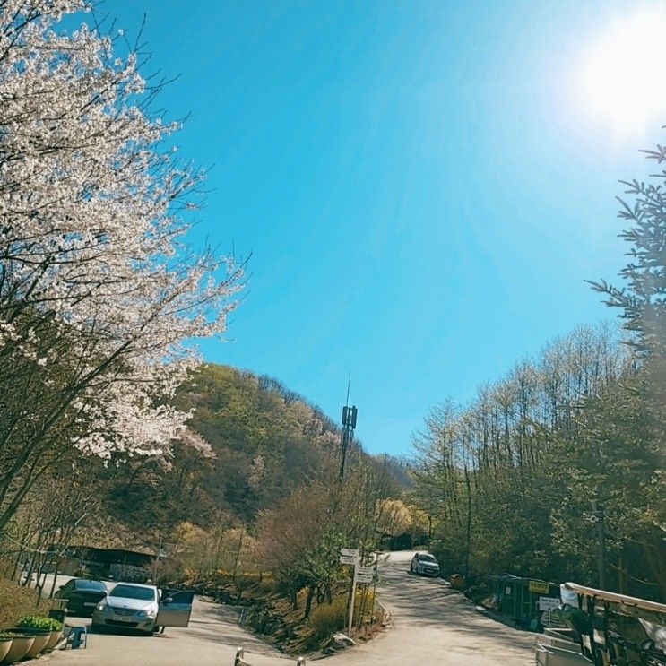 춘천숲 자연휴양림 캠핑장, 쉼에 너무나 적당한 숲속 캠핑장