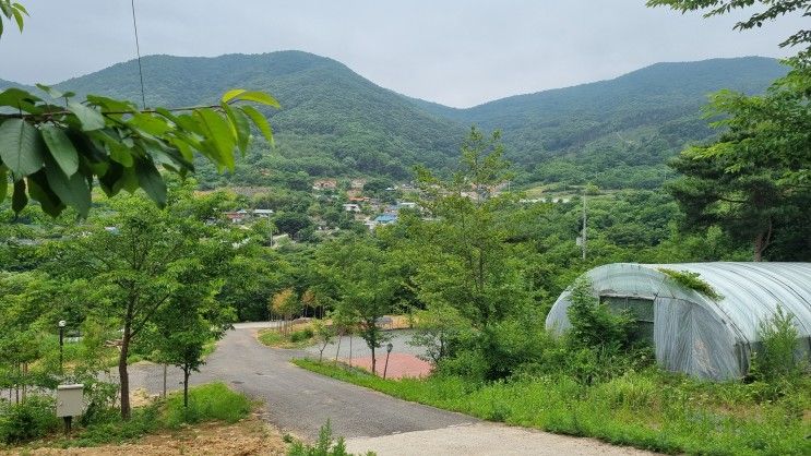 [캠핑장 공유] 경주 인근 캠핑장, 경주힐링캠프