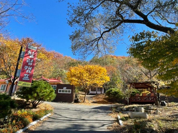 경주 산내면 캠핑장, 글램핑, 펜션 “힐링캠프”/오토캠핑장...