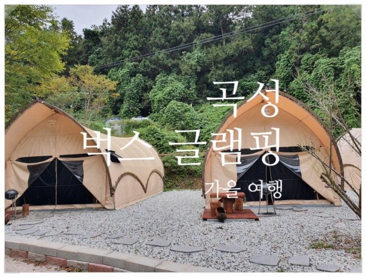 [곡성 글램핑] 글램핑으로 이색여행 즐기기_벅스 글램핑 가격...
