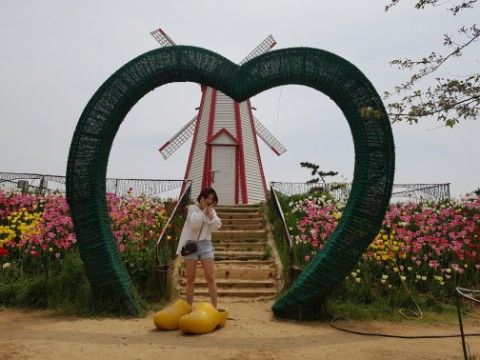 안면도 수목원. 태안꽃축제 갔다왔쯤!!(feat.애플리조트)