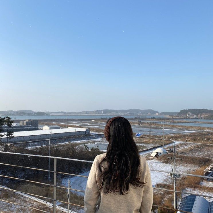 야외스파, 복층펜션 태안 애플리조트 솔직후기