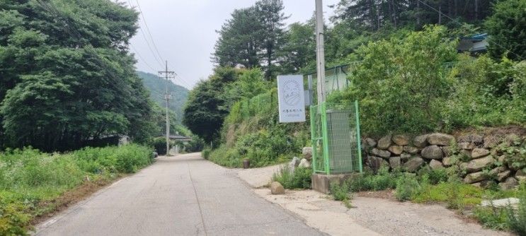 가평 리틀포레스트 캠핑장 ,(구)캠프수풀이 , 기평...