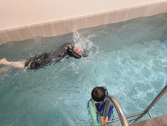 [가평가볼만한곳]올댓워터 풀빌라펜션&글램핑장, 가평 풀빌라...