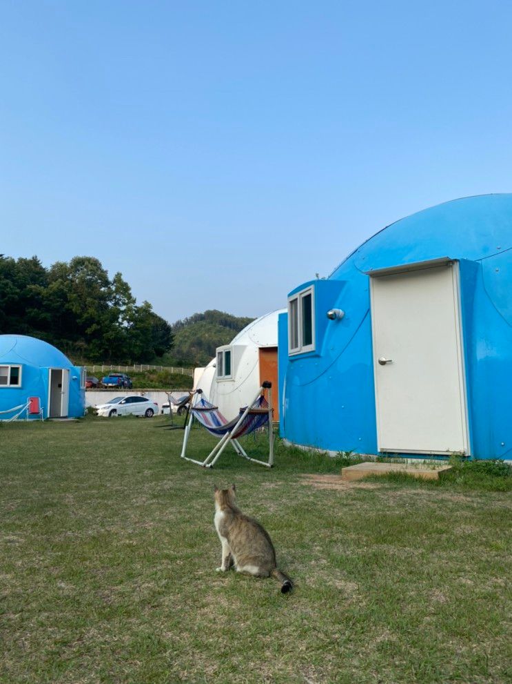 5명이서 떠난 가평 글램핑 여행: 가평 올댓워터