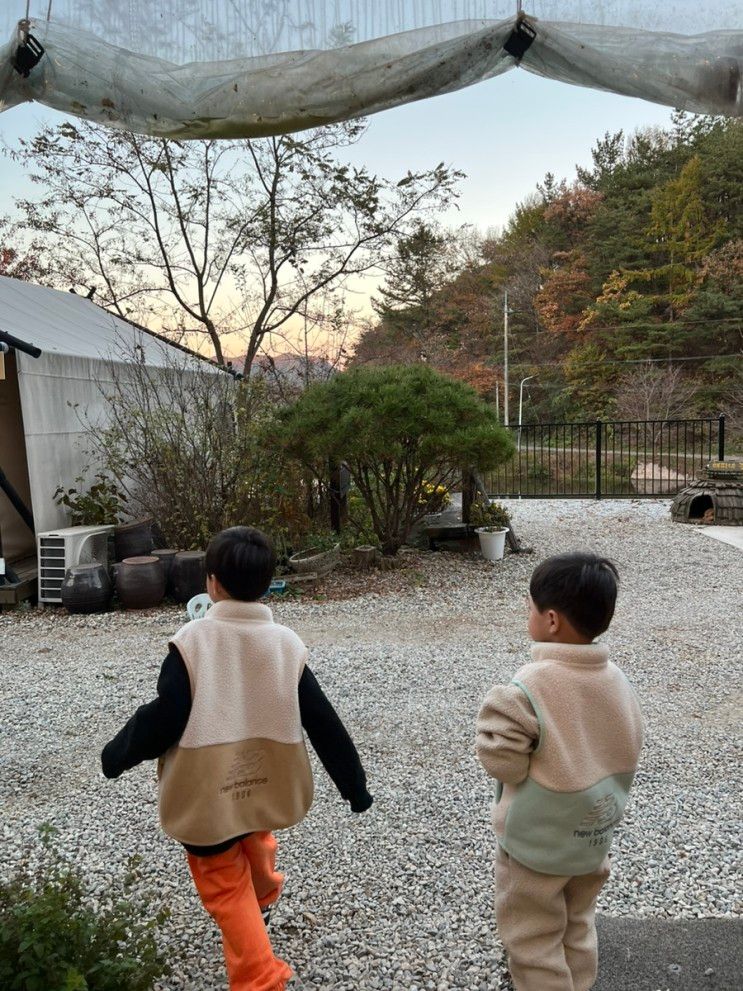 부여 - 판앤팜치유정원(글램핑), 부여박물관, 연꽃이야기