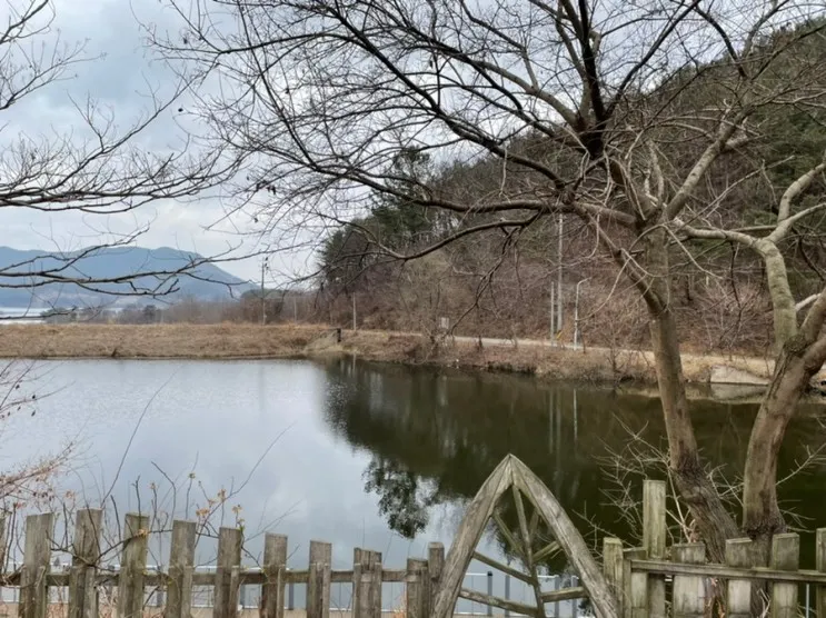 충남 부여 글램핑 추천 글램핑판(판앤팜치유정원) 호수뷰...