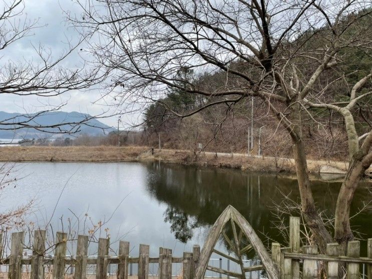 충남 부여 글램핑 추천 글램핑판(판앤팜치유정원) 호수뷰...