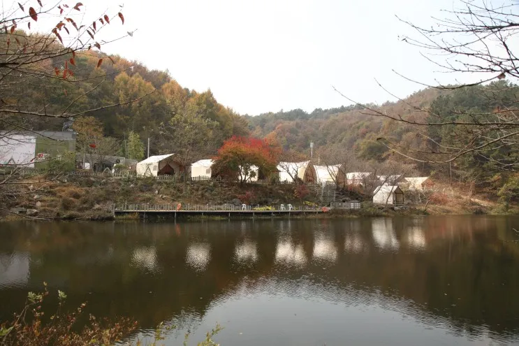 충청도 글램핑 여행 감성 캠핑이 가능한 판앤팜치유정원