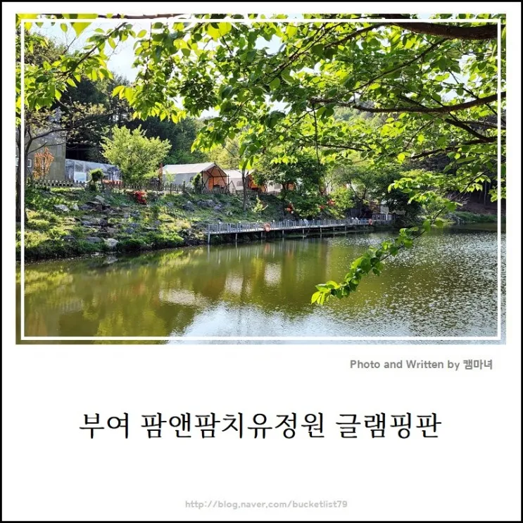 [부여 글램핑장] 숲속 맑은 호숫가 판앤팜 치유정원 글램핑판