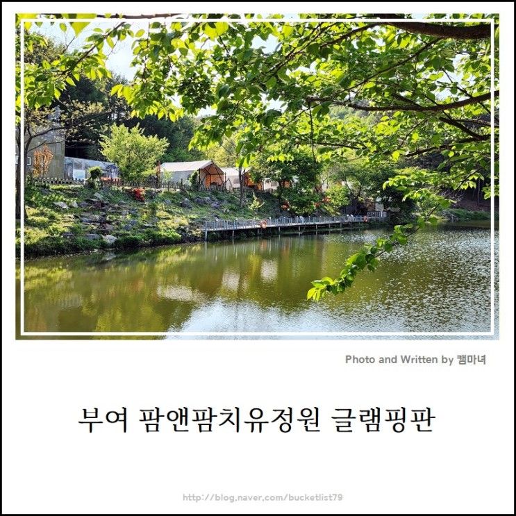 [부여 글램핑장] 숲속 맑은 호숫가 판앤팜 치유정원 글램핑판
