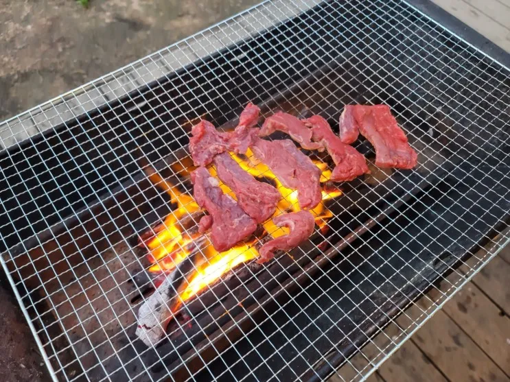 [ 일상 ] 부엉오빠랑 충남부여 판앤팜 글램핑다녀왔어요.