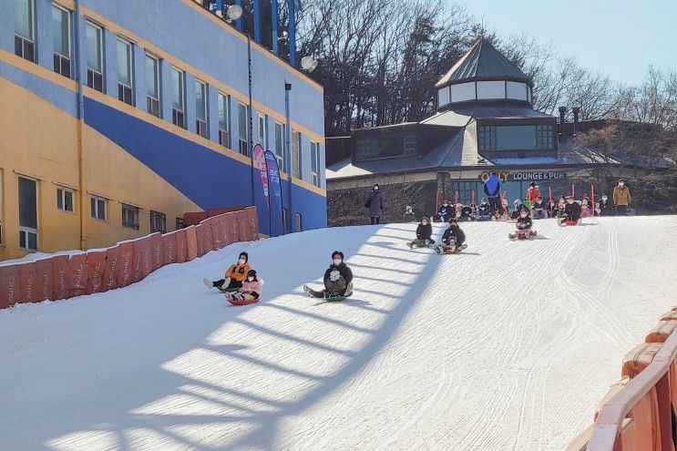 용인 양지파인리조트 눈썰매장 가격, 꿀팁