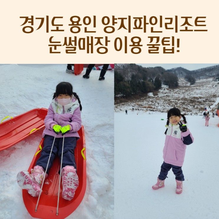 경기도 용인 눈썰매장 양지파인리조트 운영안내 놀거리 스키장...