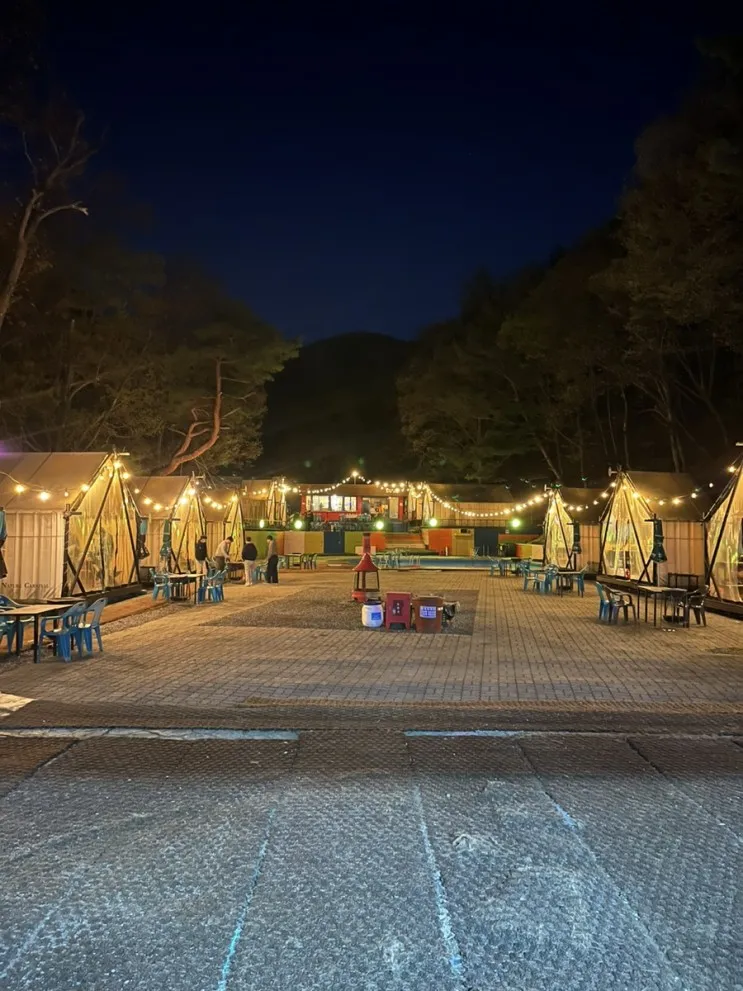 용인글램핑 양지파인리조트 숲속 보고 글램핑 (내돈내산)
