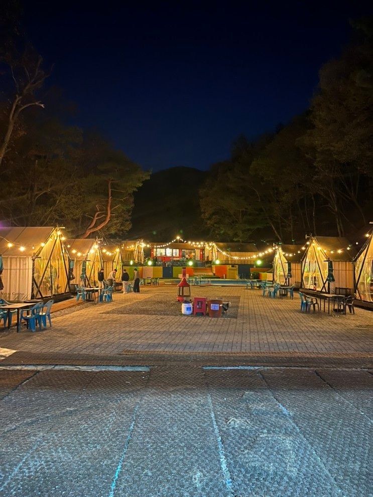 용인글램핑 양지파인리조트 숲속 보고 글램핑 (내돈내산)
