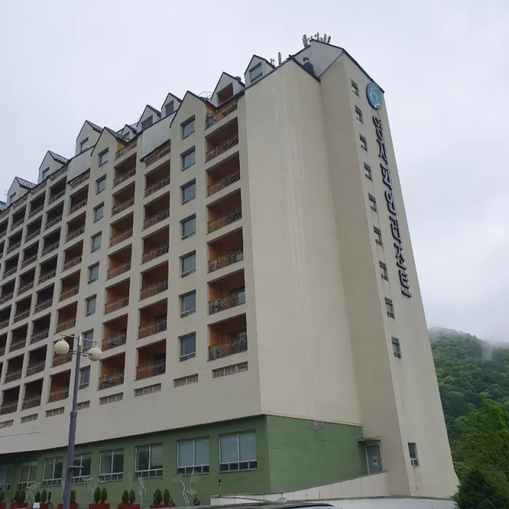 용인 양지파인리조트 34평형 이용후기