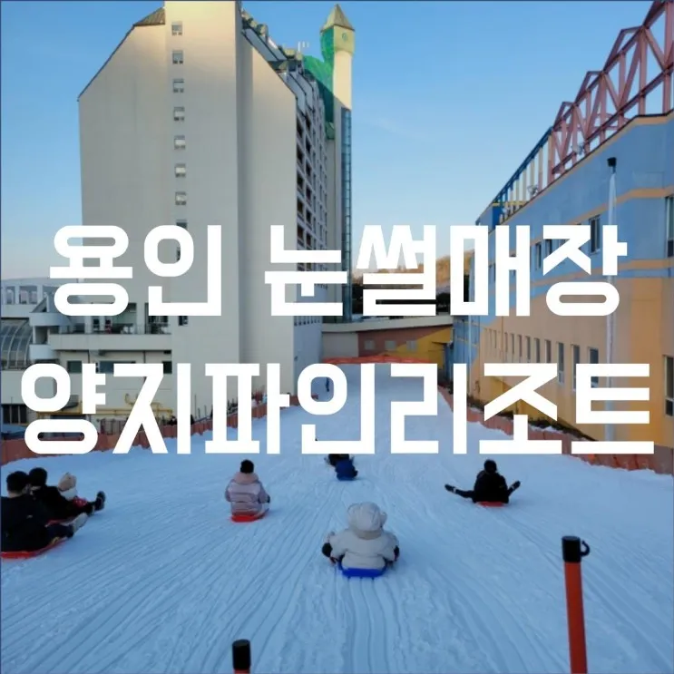용인 양지파인리조트 눈썰매장 생각보다 괜찮은데?(feat. 근처...