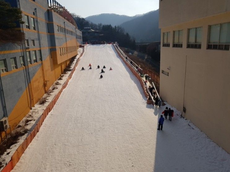 [용인/남곡리] 양지파인리조트(온돌방, 눈썰매장) / 봉피자