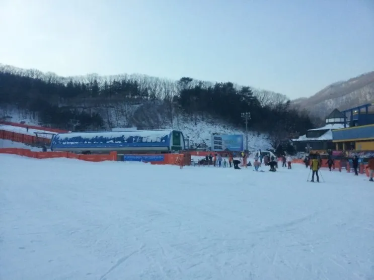 용인 - 양지파인리조트,,