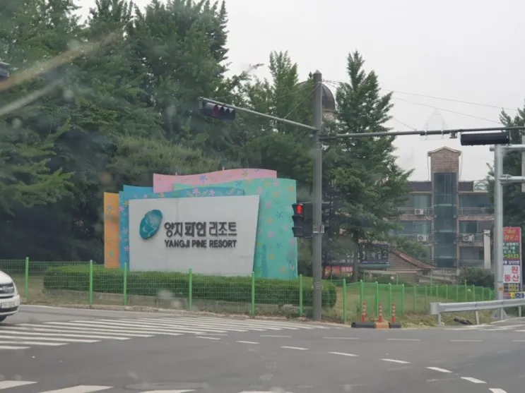 양지파인리조트/용인 에버랜드 숙박저렴 잠만 자기에는 딱이네요!