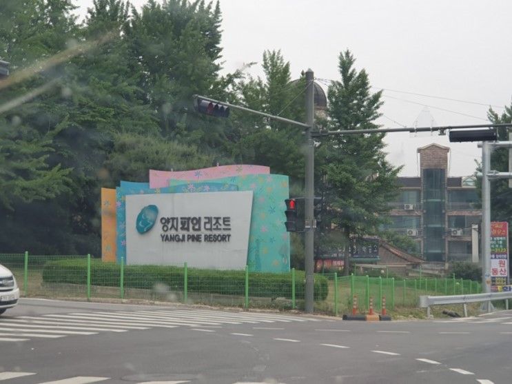 양지파인리조트/용인 에버랜드 숙박저렴 잠만 자기에는 딱이네요!