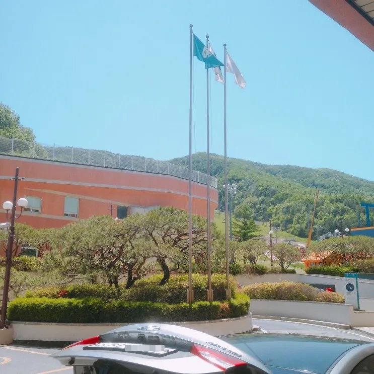 [경기도] 용인 양지 파인리조트 - 모던 스위트룸 숙박 후기
