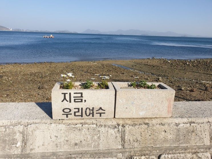 [여수 숙소] 전남 여수시 골드 비치 리조트 숙박 후기....