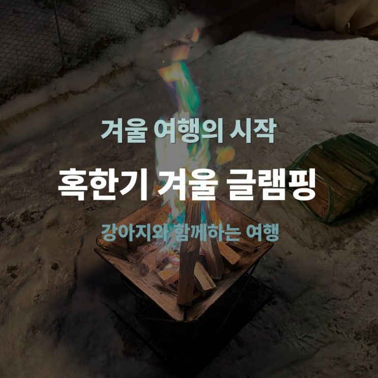 겨울 여행: 애견동반 글램핑 (혹한기 체험)