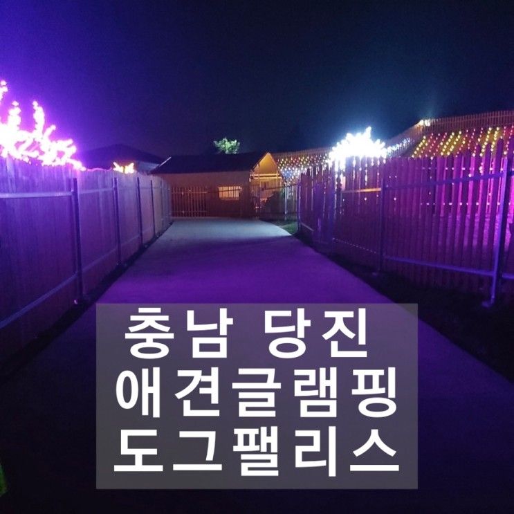 당진 애견글램핑 “도그팰리스”방문후기