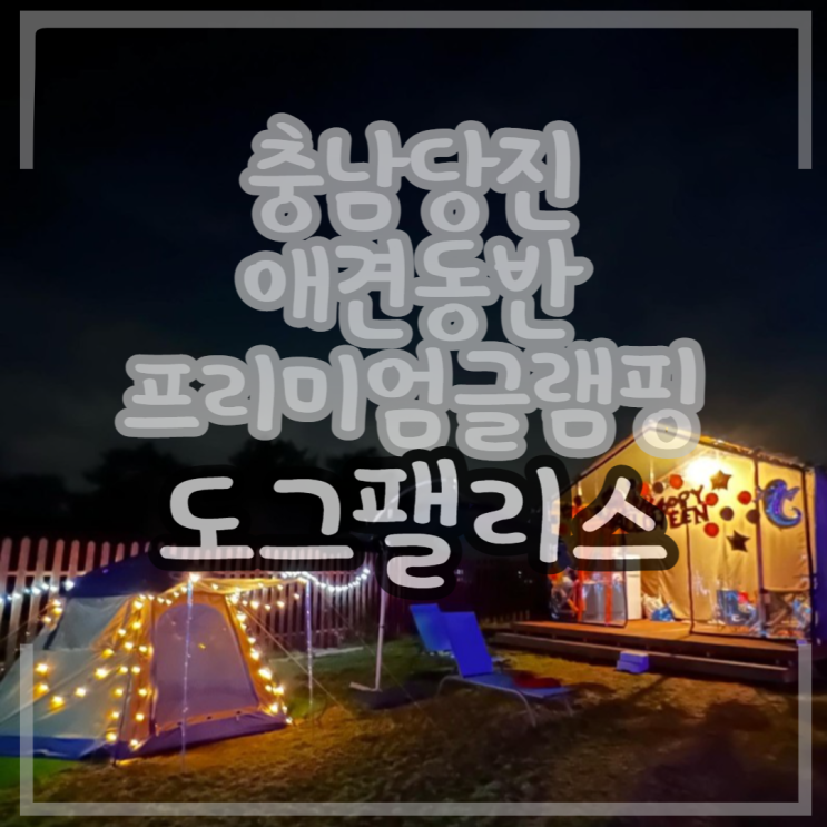 충남당진도그팰리스 -  당진 프라이빗한 프리미엄 독채 애견동...