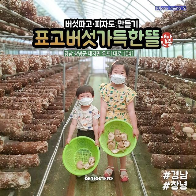 경남 버섯따기체험 표고버섯가득한뜰