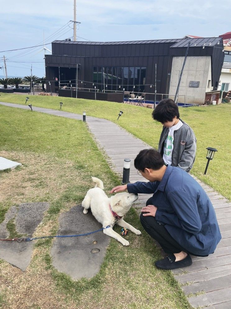 제주도 펜션 메종드제주 풀빌라, 자연과 어우러지던 휴식처