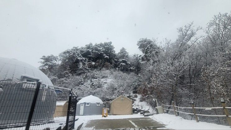 계절과 함께 아름다운 강원도캠핑장 철원포레스트