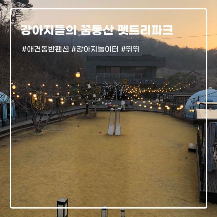 < 충주 애견동반 글램핑> 강아지들의 꿈동산 펫트리파크...