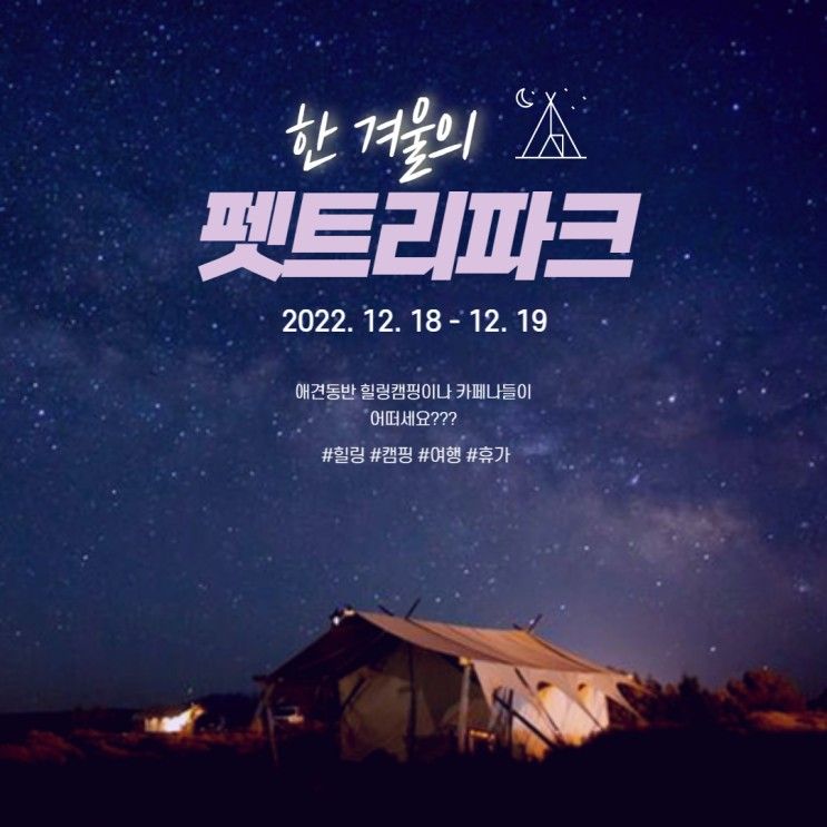 [충주여행_펫트리파크] 초보캠핑러도 가능한 애견동반카페...