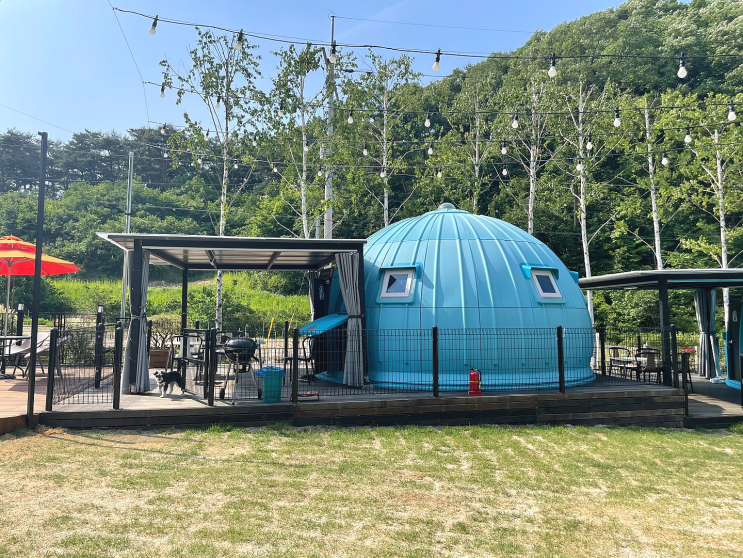 해루나의일상_ 충주 펫트리파크 돔하우스 , 애견펜션