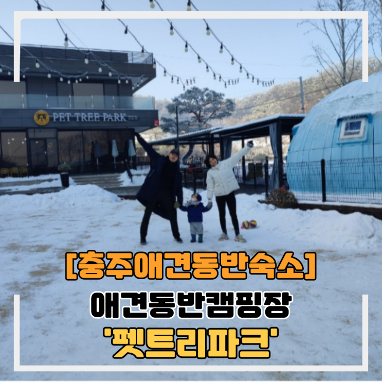 충주애견동반숙소 펫트리파크 1박 2일 찐후기