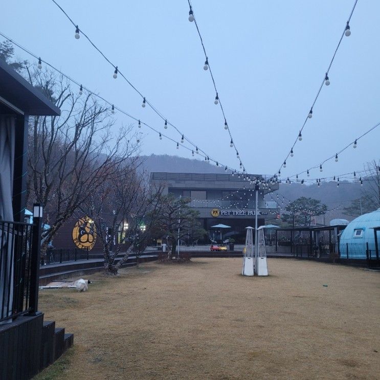 충주 펫트리파크, 낮과 밤이 모두 보석 같은 애견 동반 글램핑